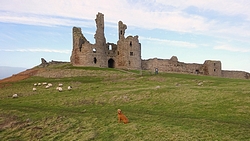 woef voor dunstanburgh castle