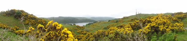 glen lonan in de zomer