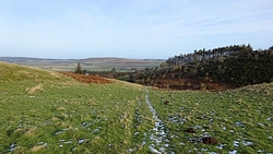 op het gras is het goed te doen