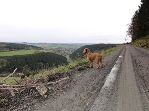 sauerland oktober 2010